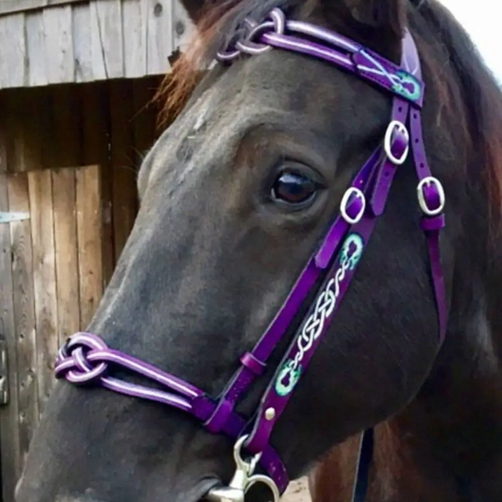 PU Leather Horses Bridle Halters Comfortable Metal Buckle Horse Rein Harness Protecting Horse Skin Durable Horse Collar