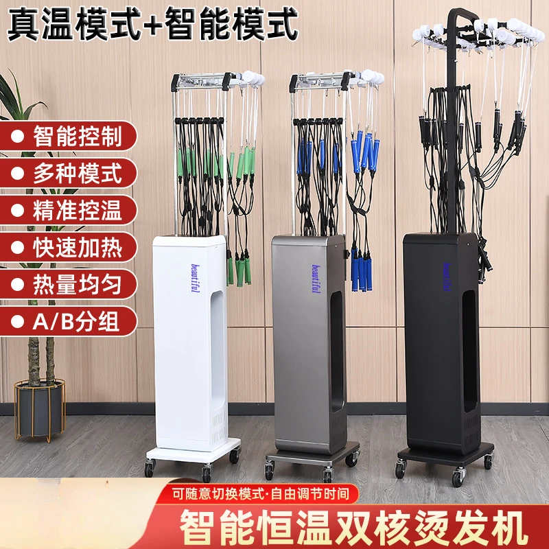 

Hair Salon Constant Temperature Perm Hair Elvin Babi Smart Hot Press Digital Perm Machine