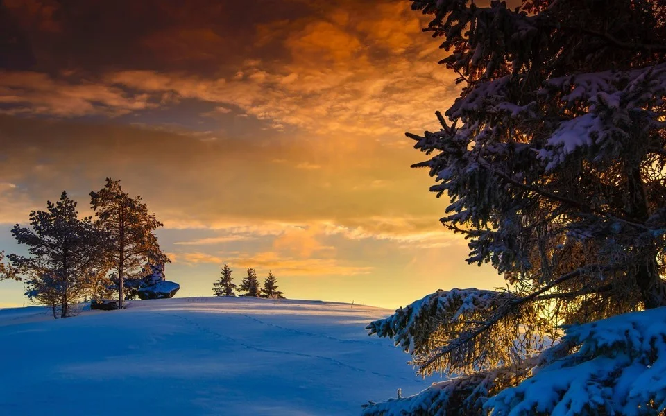 Android For Lincoln… - image