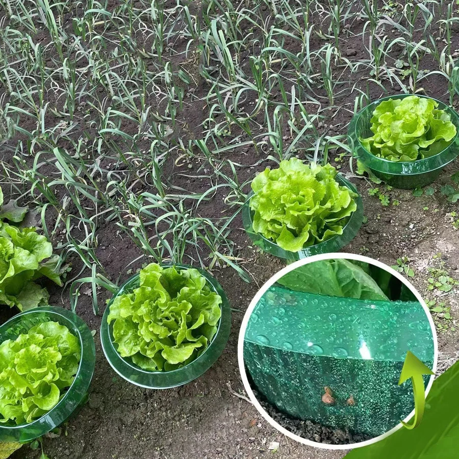 Organic Vegetable Seedling Cover Protects Fruit Vegetable Pest Control Plastic Snail Trap