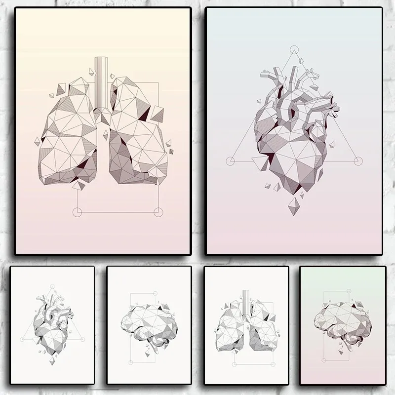 Anatomy and Physiology The Body Structure Geometry Poster Home Room Decoration Aesthetic Wall Art Living Posters Canvas Painting