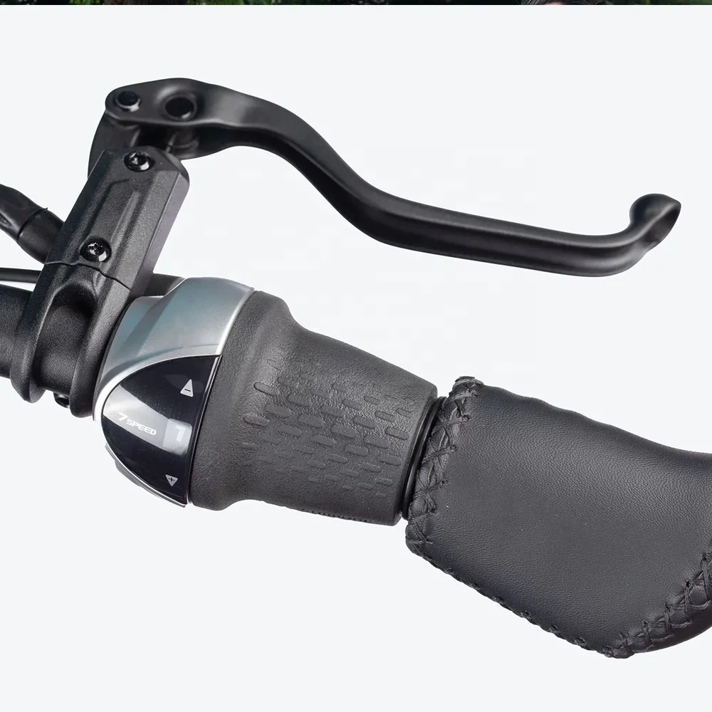 OEM 2 Wheel Electric Cargo Bike