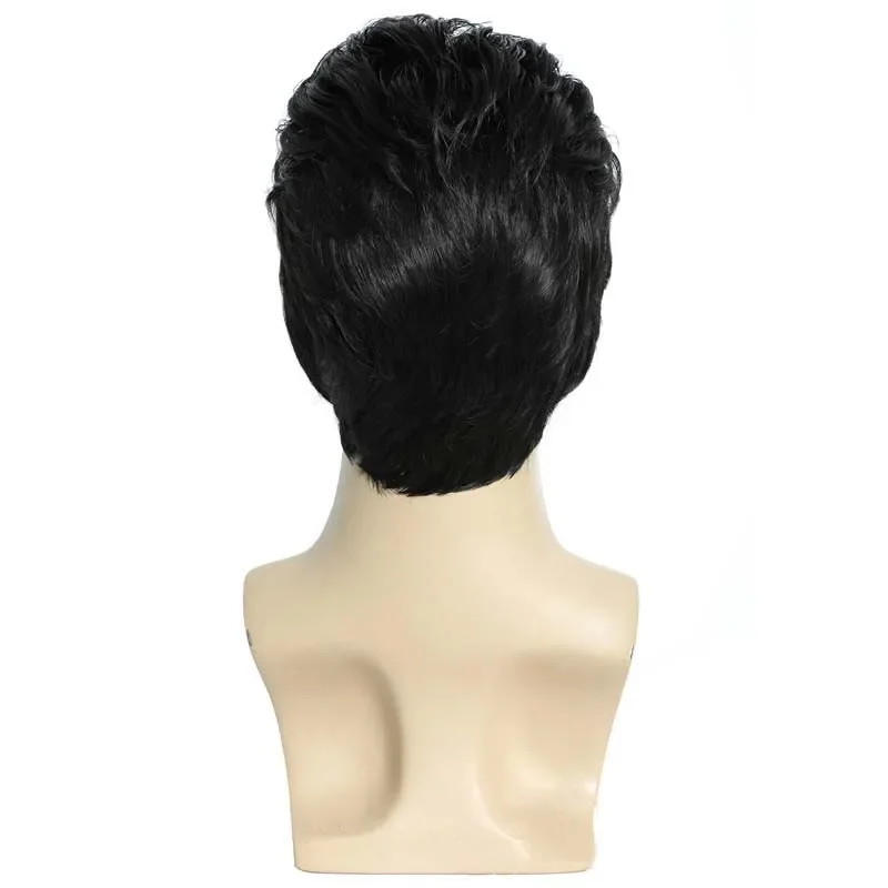 Short Wigs Men Straight Synthetic Hair Black Male Wig with Bangs Hairstyles Daily Use Businessman Short Haircuts