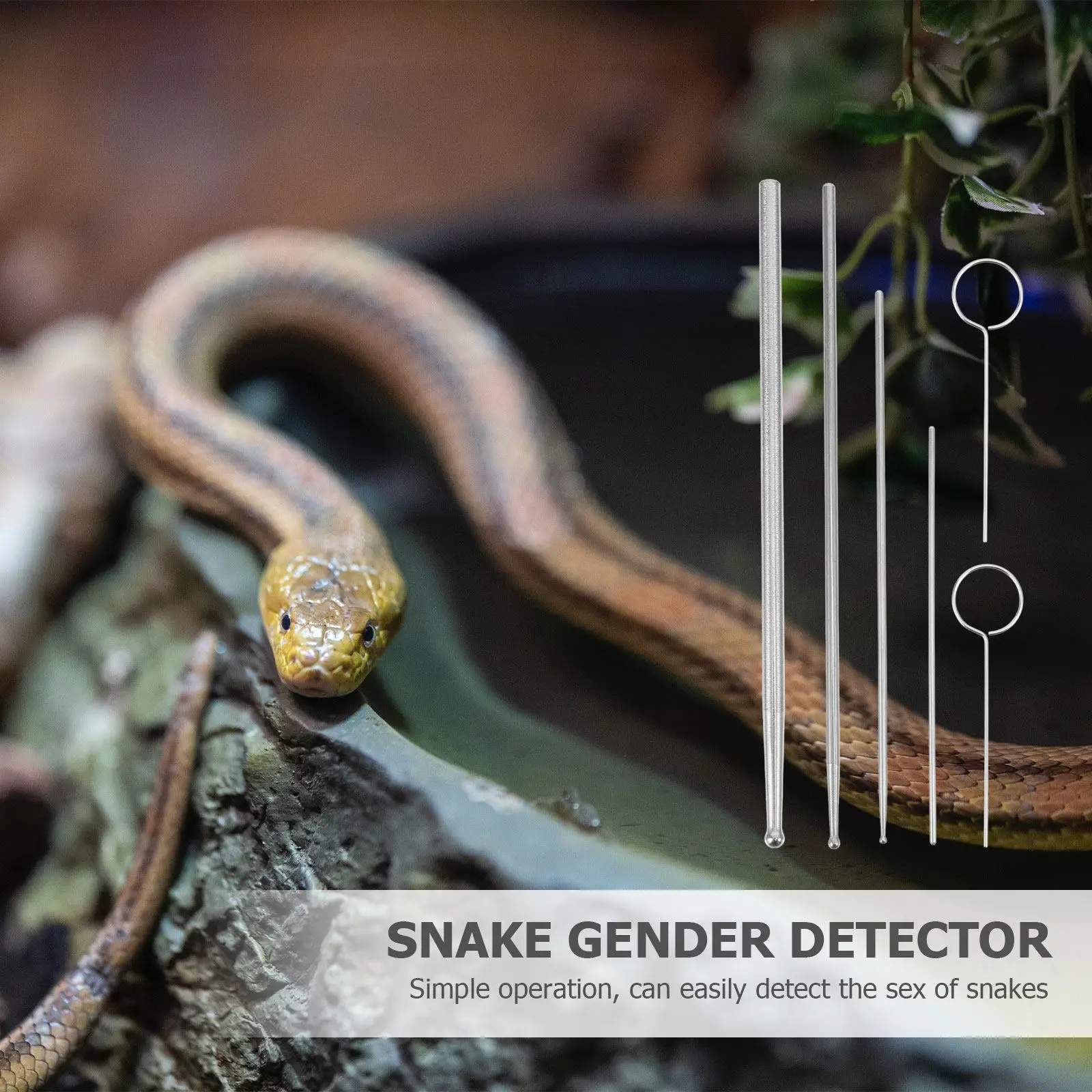 

Набор из 6 профессиональных зондов для рептилий из нержавеющей стали: легкий, портативный инструмент для определения пола змей (для Ball)