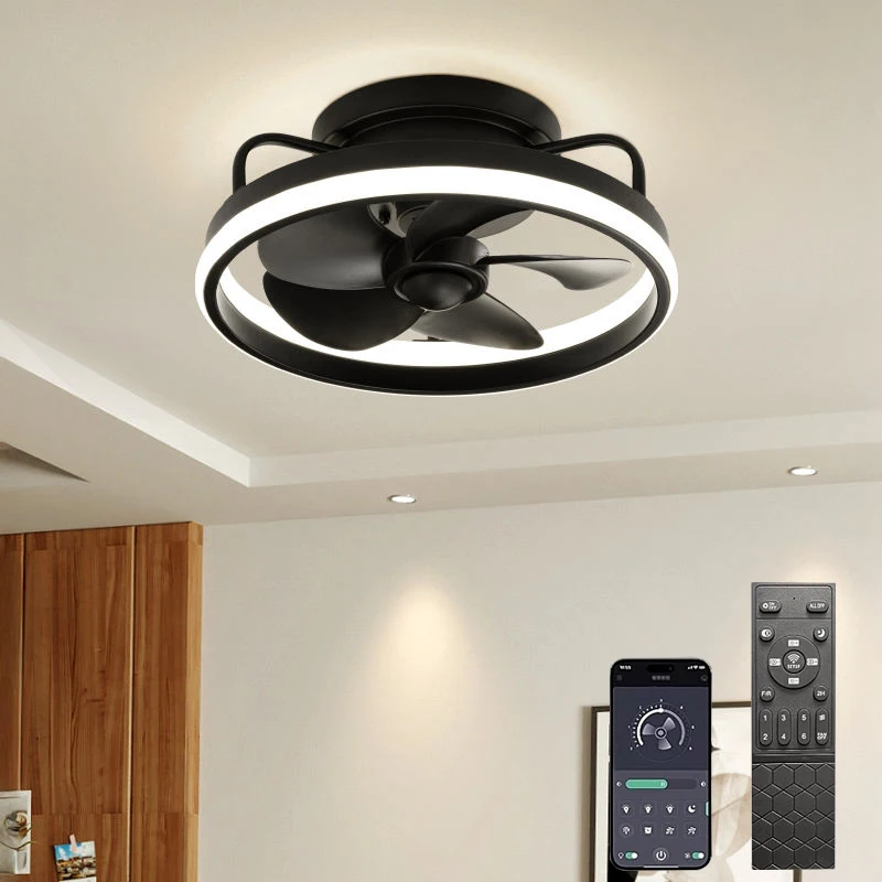 Modern Living Room Ceiling Fan Light 36W DC Motor 6 Speed ​​Timer Fan Low Floor Attic Remote Control Decorative Fan Light