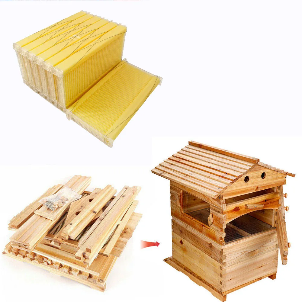 2 Layer Beehives Boxes House Brood Box With 7X Honey Frame Comb + Key