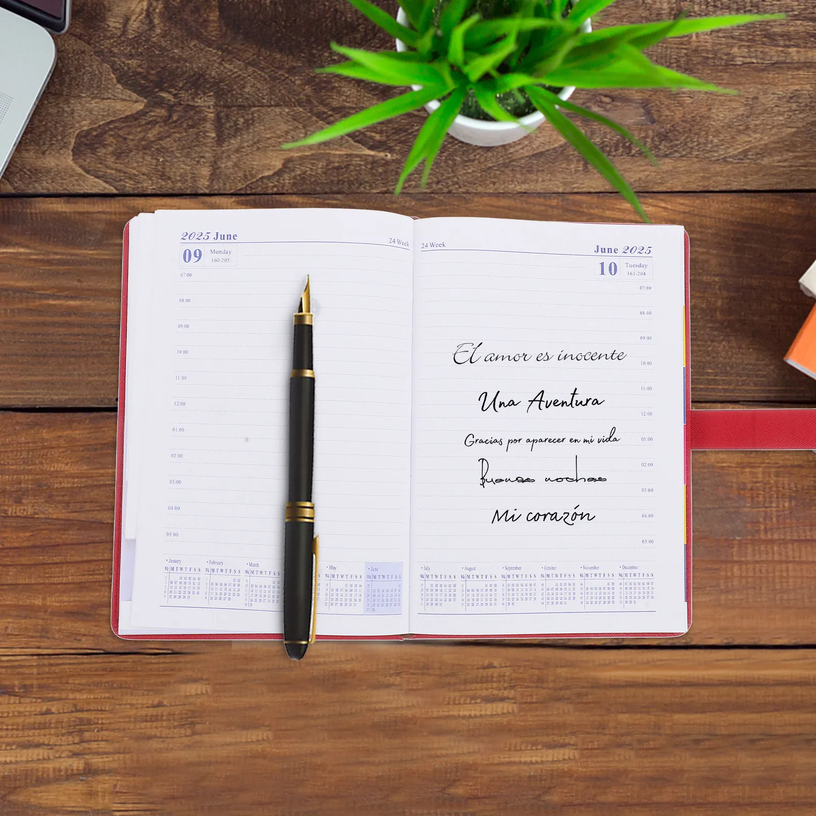 A5 Daily Planner 2025 – Thick Paper Yearly Journal with Lock & Key, Task Management & Schedule Planning