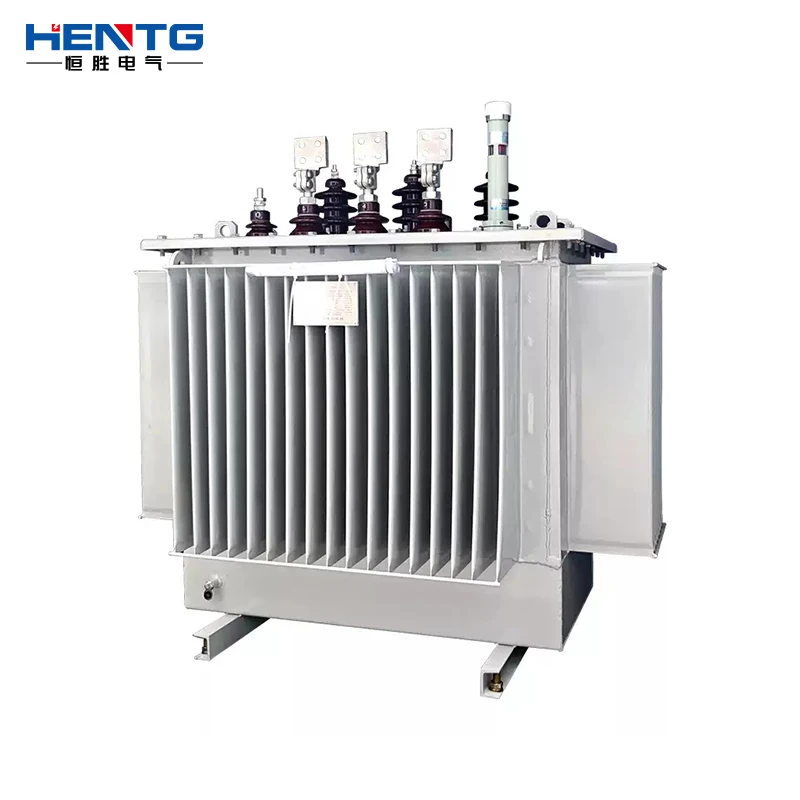 3 Phase Oil Immersed Factory Price S22 100Kva 630Kva 1600Kva 33kv Onan Oil Filled Transformer Electric Power Mv&Hv Transformers