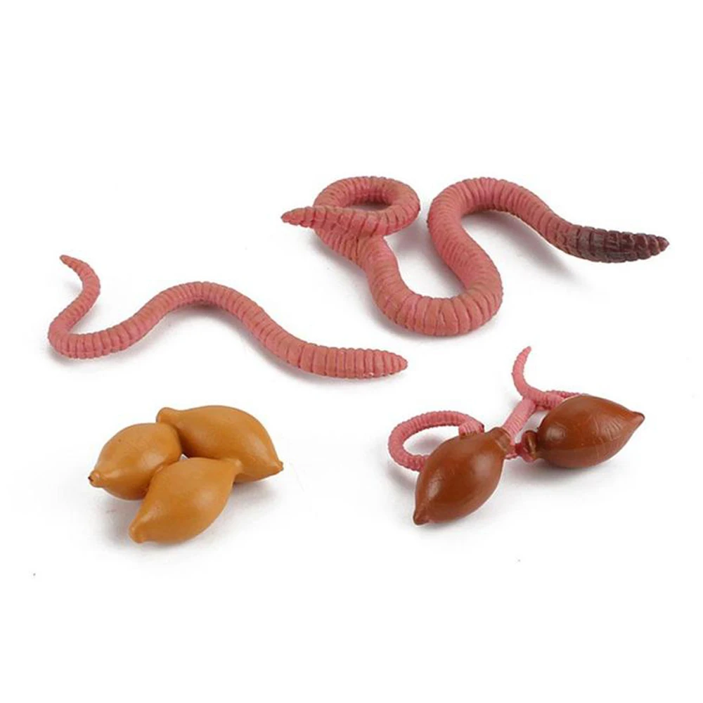 

Kids Gifts Plastic Children Educational Toys Earthworm Animals Figurines Salmon Octopus Growth Cycle Model Realistic Life Cycle