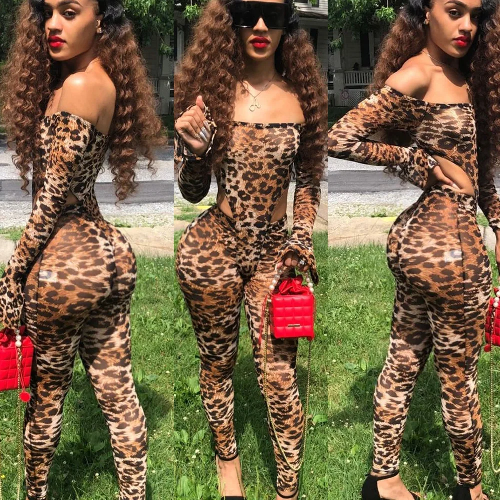 

Fashion and sexy mesh leopard print onesie women's two-piece temperament elegant and thin simple new women's clothing