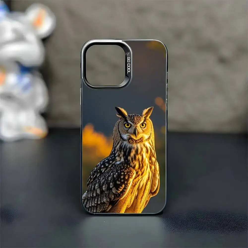 Owl Phone Case For iPhone17,16,15,14,13,12,11 Pro Max Blcak Colorful Silver Plated Inside Phone Case
