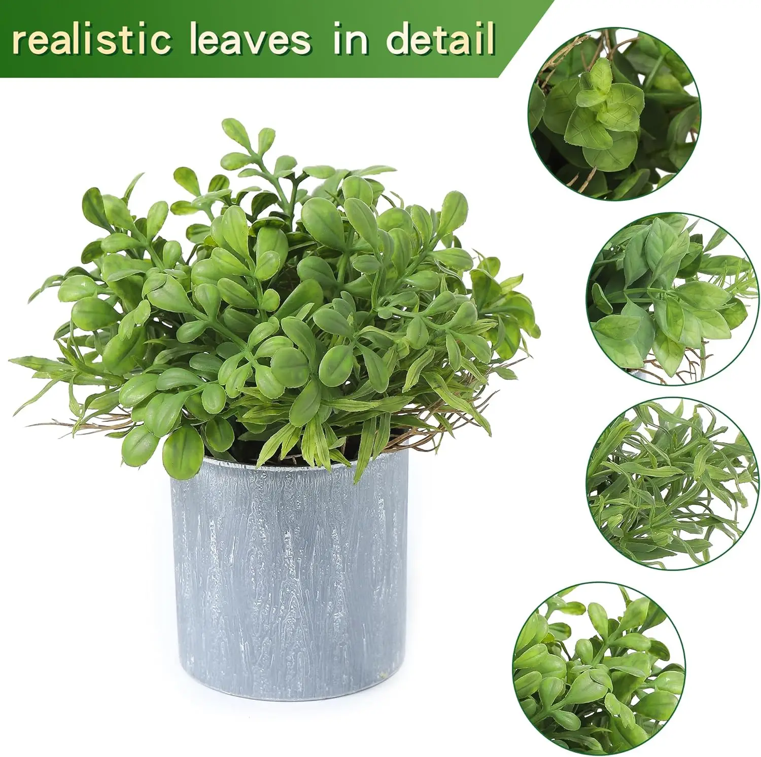 Rośliny doniczkowe 2