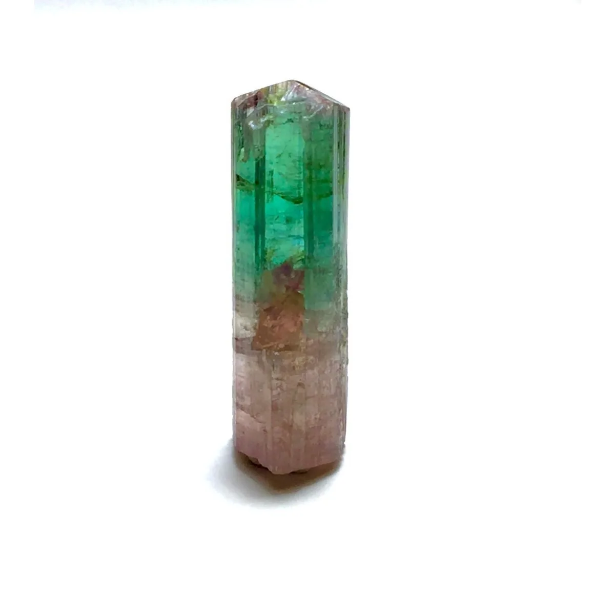 Brazilian Elbaite Crystal Points, 10g 5-15mm Mixed Colors, Display Box for Collector Gift Box & Rock Collection