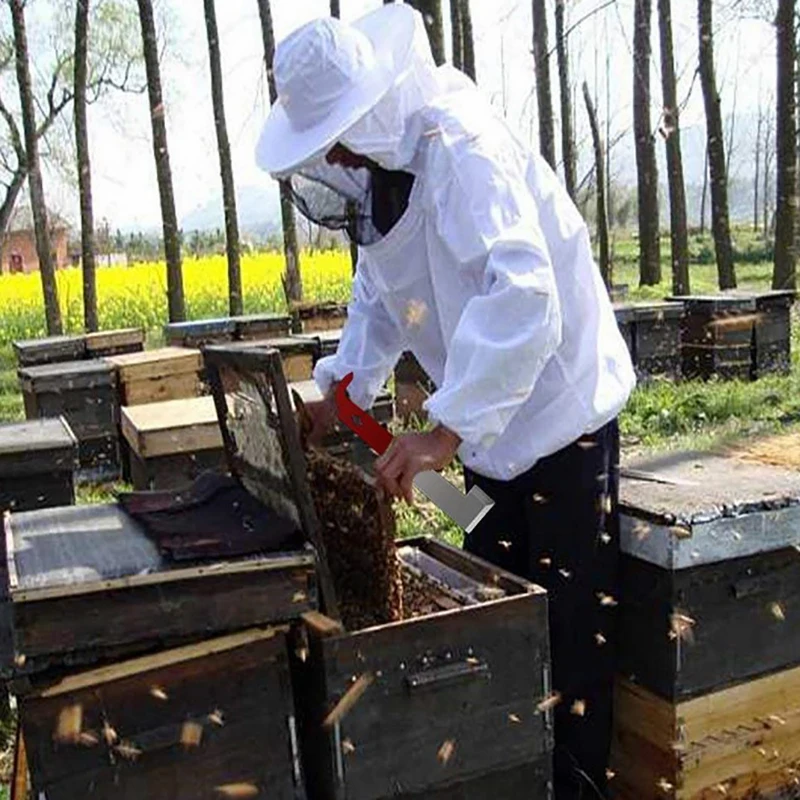 Stainless Bee Hive Tool Frame Lifter and Scraper J Shape Hook Beekeeper Knife