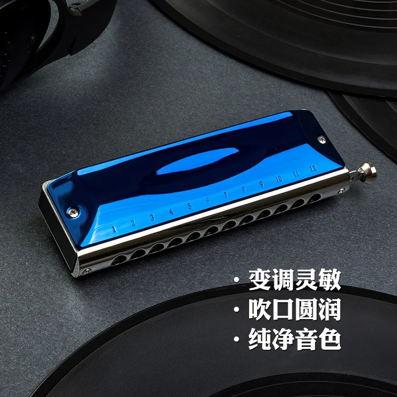 12 Hole Blues Harmonica, Semi-Chromatic Key, Portable Beginner Friendly Instrument, Jazz Blue Tunes, Music Performance Toy