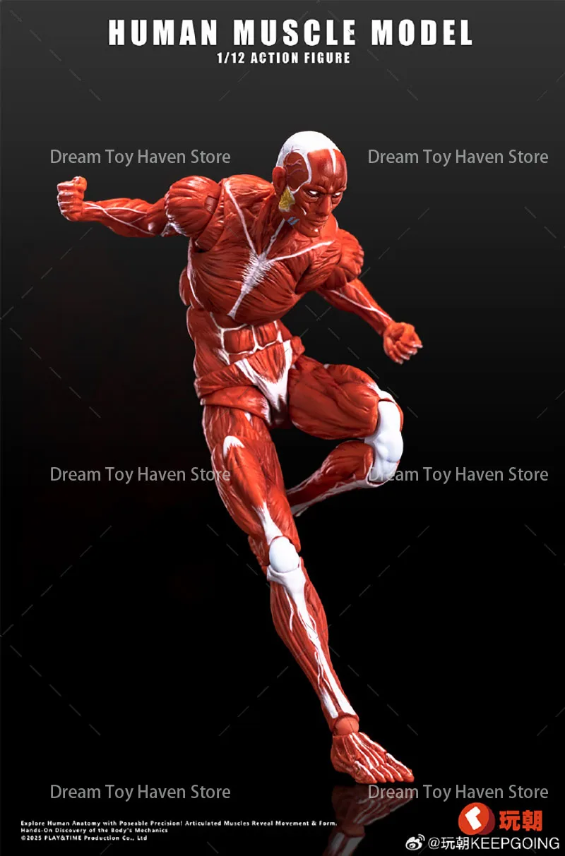 Keepgoing 1/12 مقياس جندي ذكر نموذج العضلات البشرية 6 بوصة دمى شخصيات الحركة سوبر المنقولة المشتركة مجموعة العضلات الجسم اللعب #4