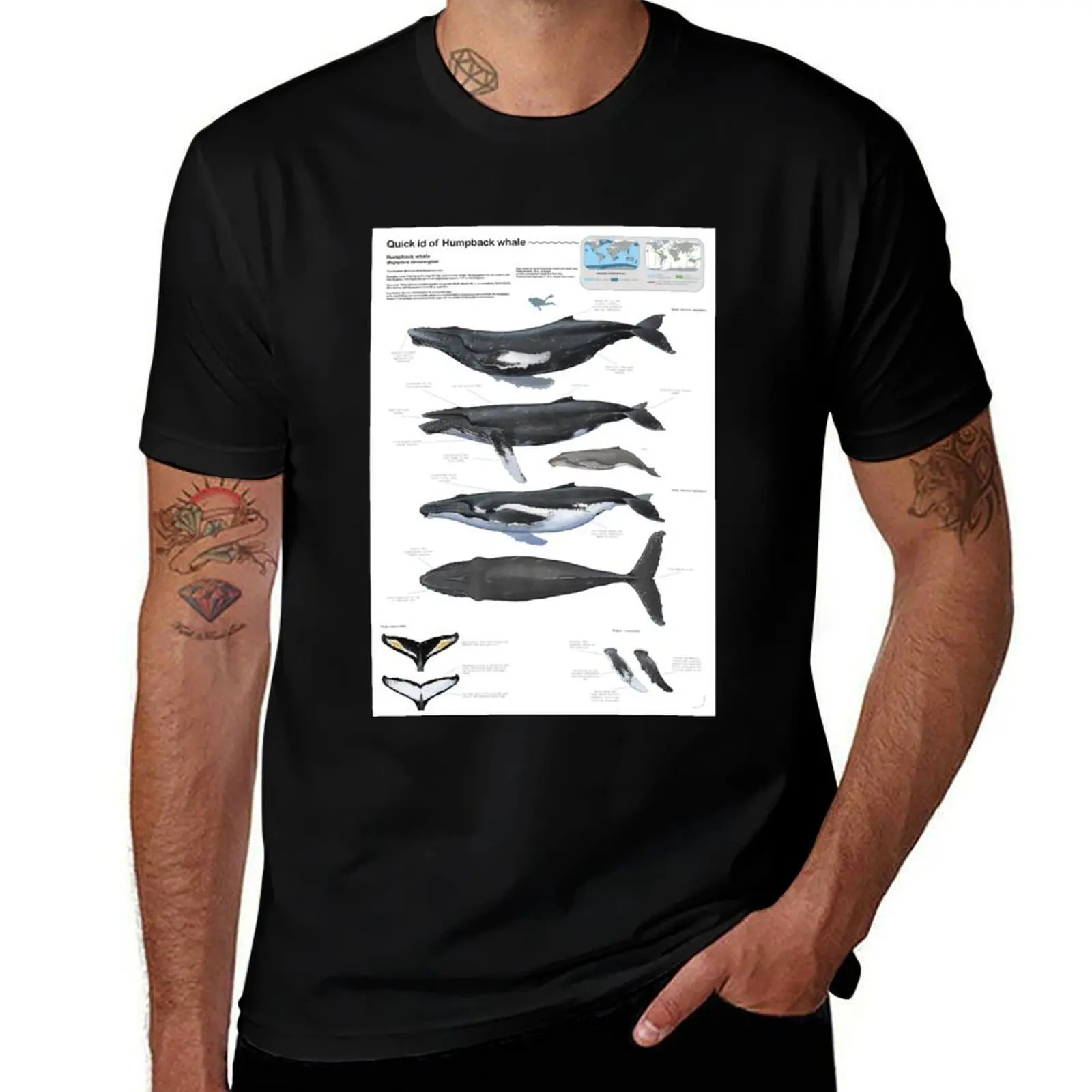 

Quick ID of the Humpback Whale T-Shirt anime clothes Blouse mens t shirts top quality