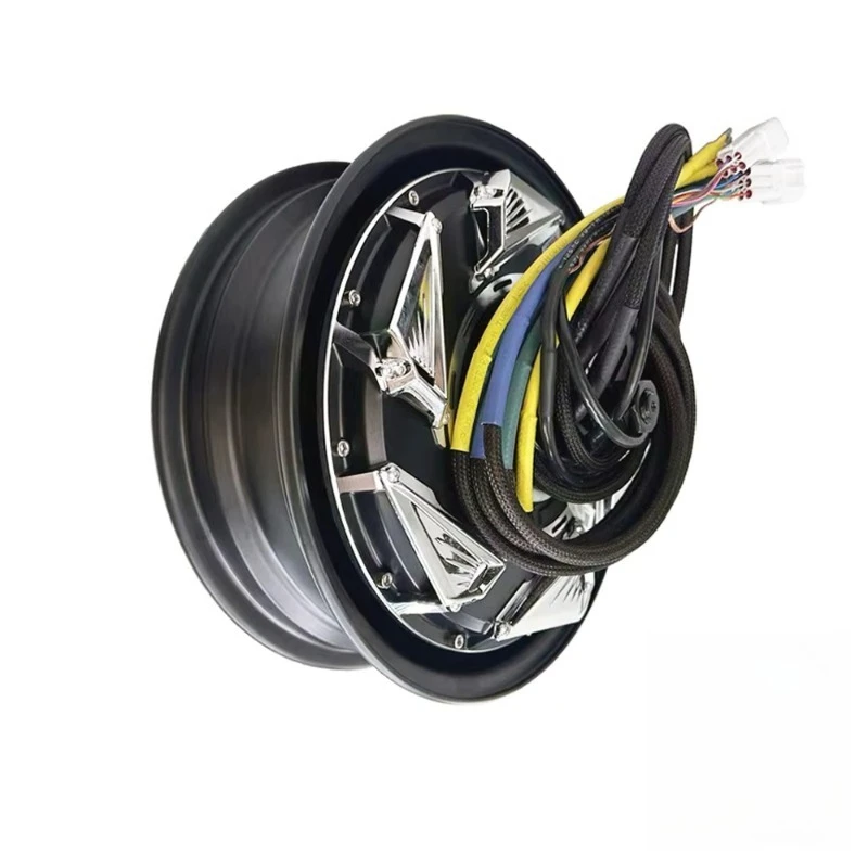 Commemorative Edition High-performance Brushless DC Motor 12 Inch V4 6000WP50H