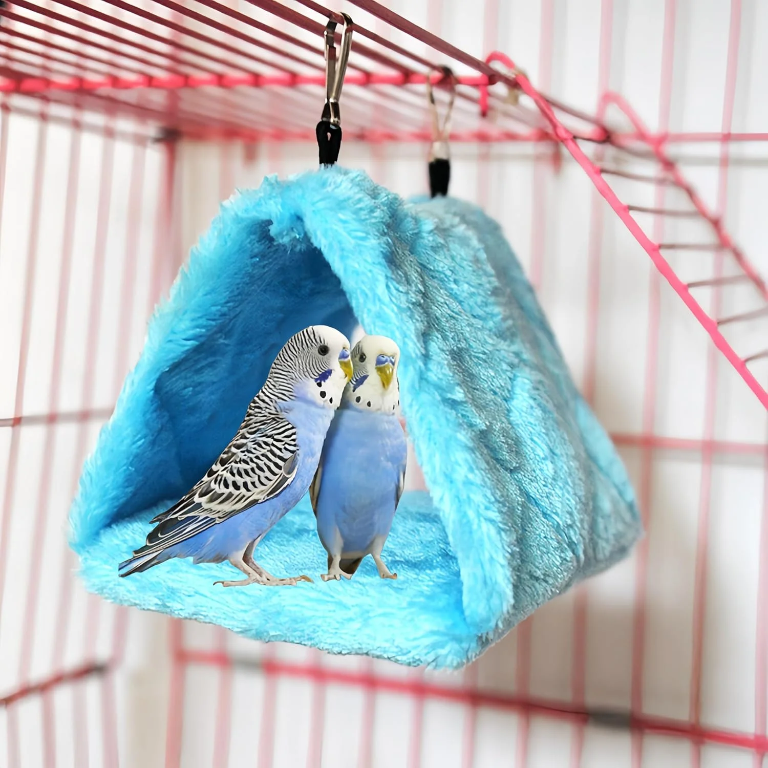 Pet Bird Parrot Cag… - image