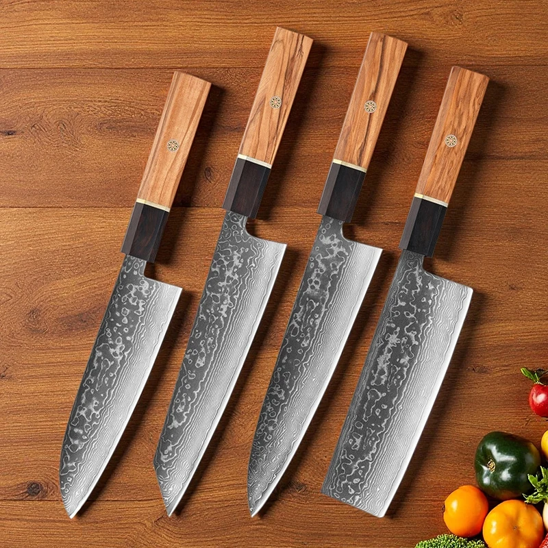 Cuchillo de acero damasco de 67 capas, cuchillo de Chef japonés profesional para cortar Sushi, cuchillo para cortar carne y verduras, cuchillo de cocina