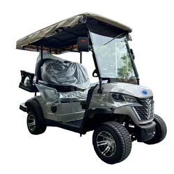 Street Legal Lithium 4 Seater Golf Carts Gas Golf Scooter Go Kart ATV Buggy Adult Touring Solar 4*4 Electric Golf Cart
