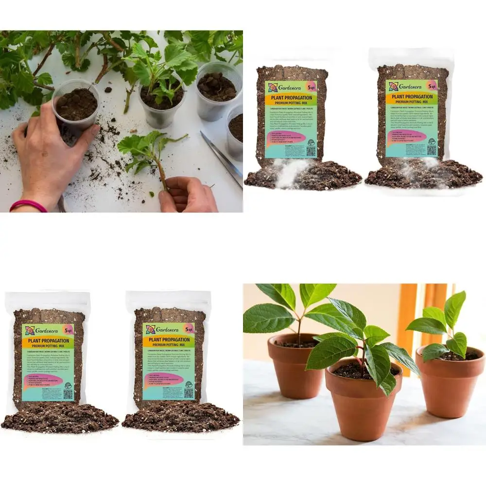 

Premium Organic Potting Mix for Plant Propagation - Balanced Air & Moisture - 10 Quarts