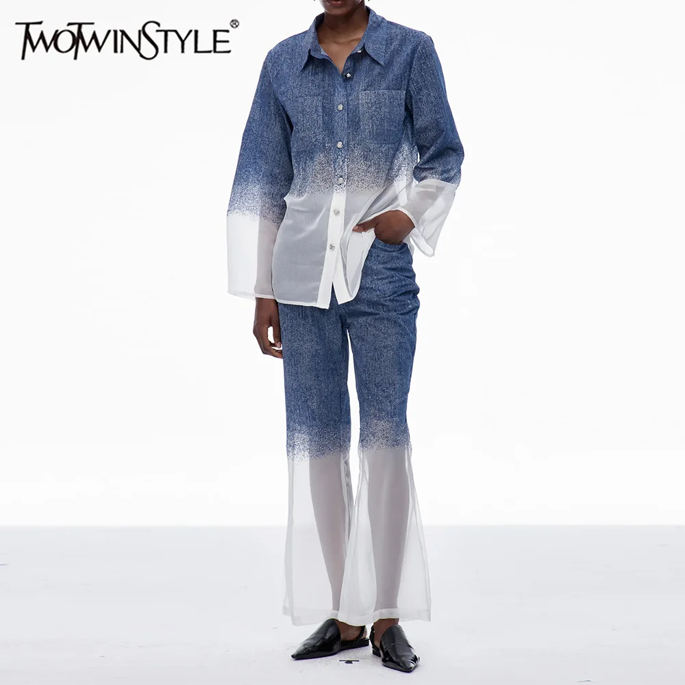 

TWOTWINSTYLE Прозрачные комплекты из двух предметов с градиентом для женщин, повседневный комплект с длинными рукавами и лацканами на пуговицах, топ с высокой талией, женский новый