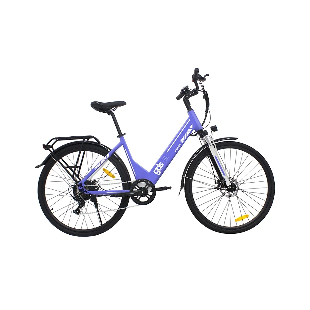 Electric Bike 36v City Cheap Ebike Moped Adults Ladies Road Bicycle Ebike 250w