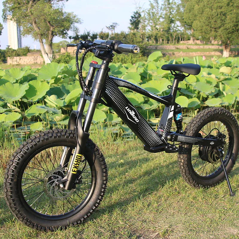 子供用電動自転車 750W 36Vバッテリー ファットタイヤ 多色展開 子供用電動バイク