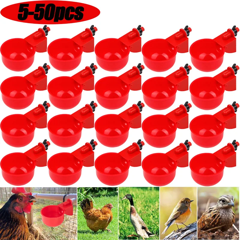 

5-50Pcs Automatic Chicken Waterer Bird Feeder Poultry Farm Drinking Bowl for Chicken Duck Goose Drinking Water Farm Supplies