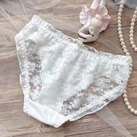 Women Sexy Mesh Milk Silk Jacquard Lace Underwear Transparent Elasticity Princess Style Cute Lovely Sweety Panties Breathable 6