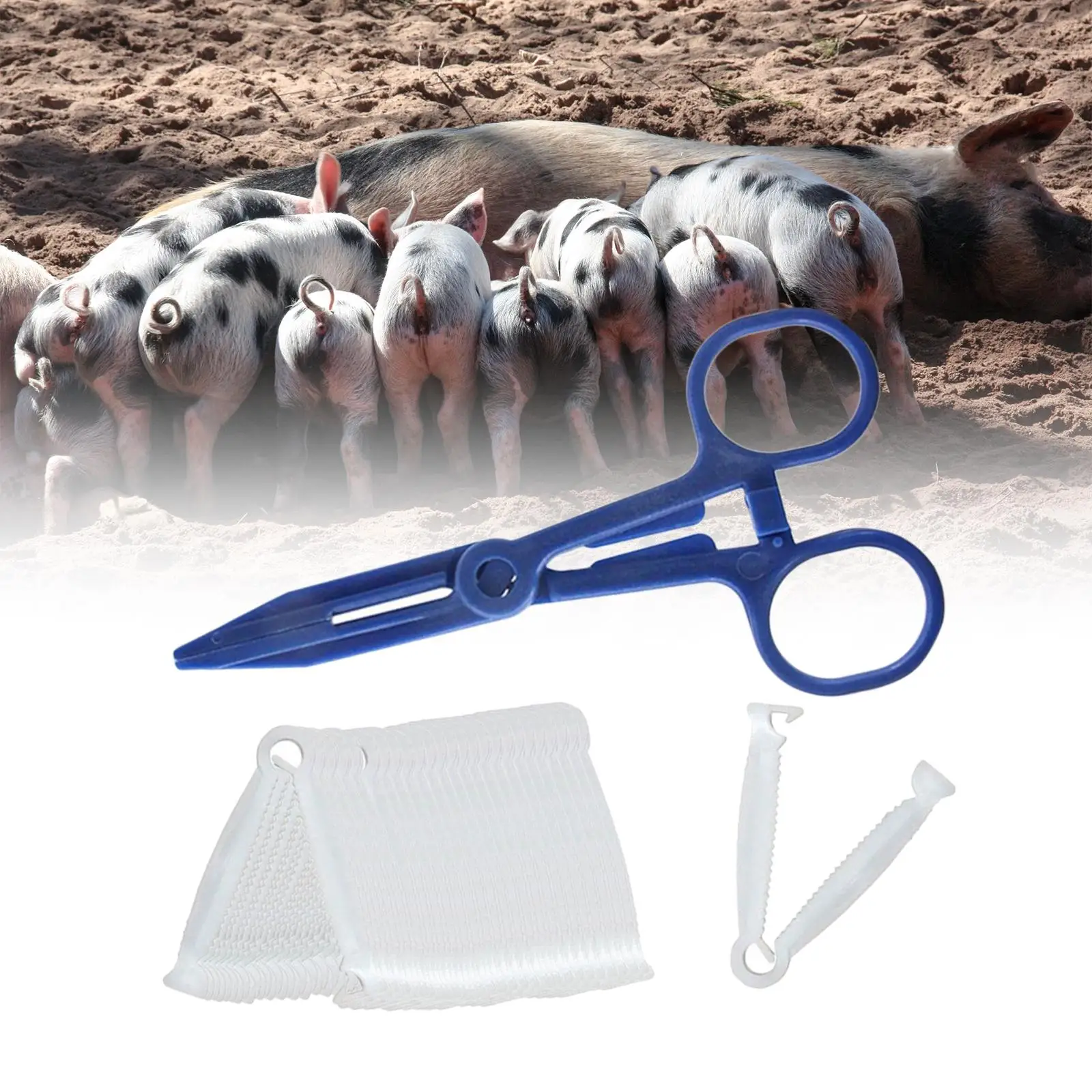 50x 돼지 탯줄 클립 및 포셉 흰색 탯줄 클램프 플라스틱