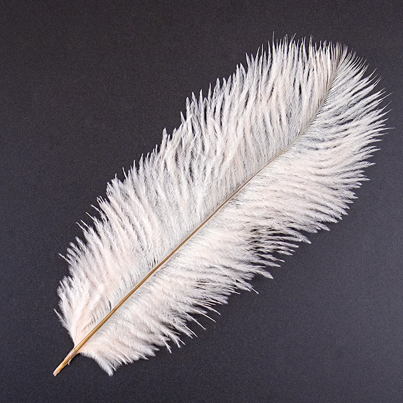 Ostrich Feathers for Crafts 10Pcs Multicolor 15-20cm/6-8inch Colorful Feathers for Jewelry Making DIY Party Decorations Plumes