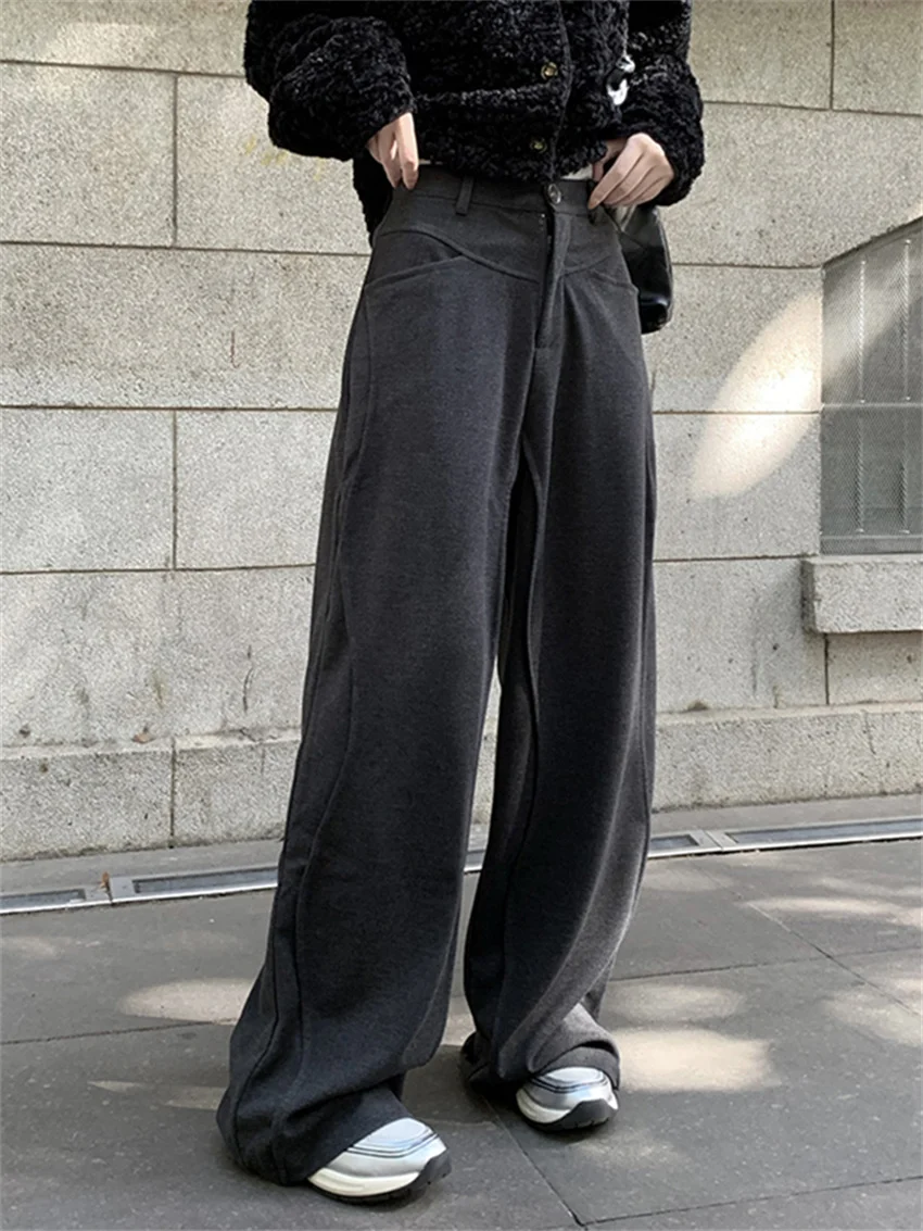 PLAMTEE High Waist Thicken Women Pants Loose Wide Leg 2024 Minimalist Spring Office Lady Streetwear Casual Mopping Work Wear