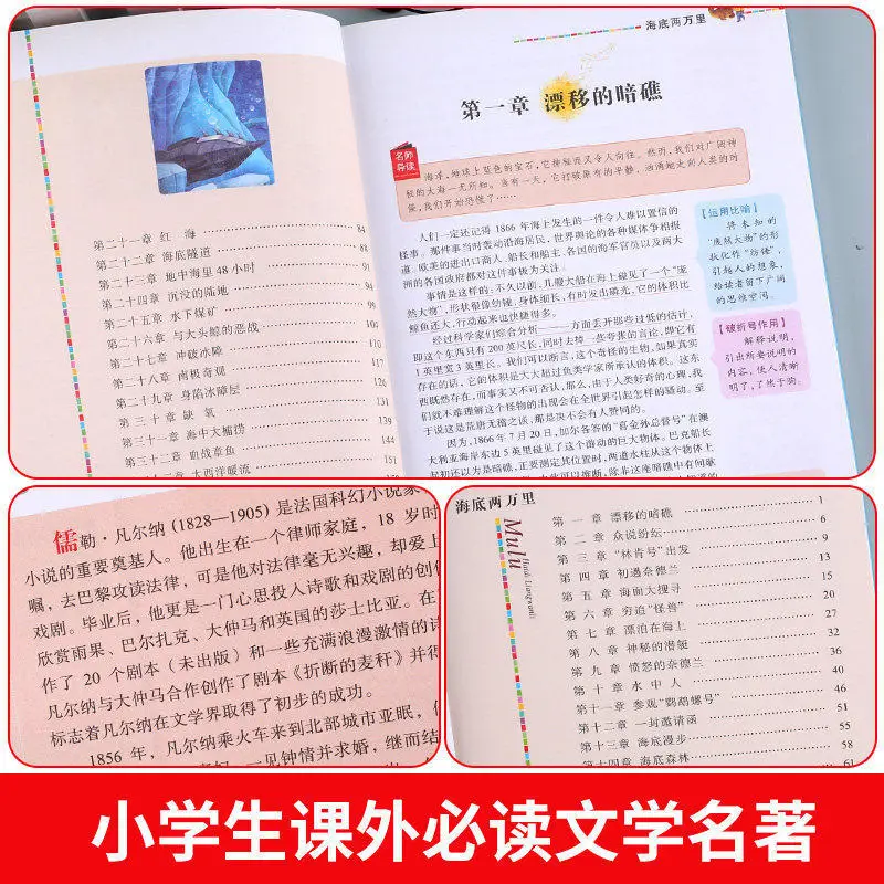 Grade 4 Must-Read Extracurricular Books | Teacher Recommended: Souvenirs Entomologiques, The Blue Bird & The Secret Garden