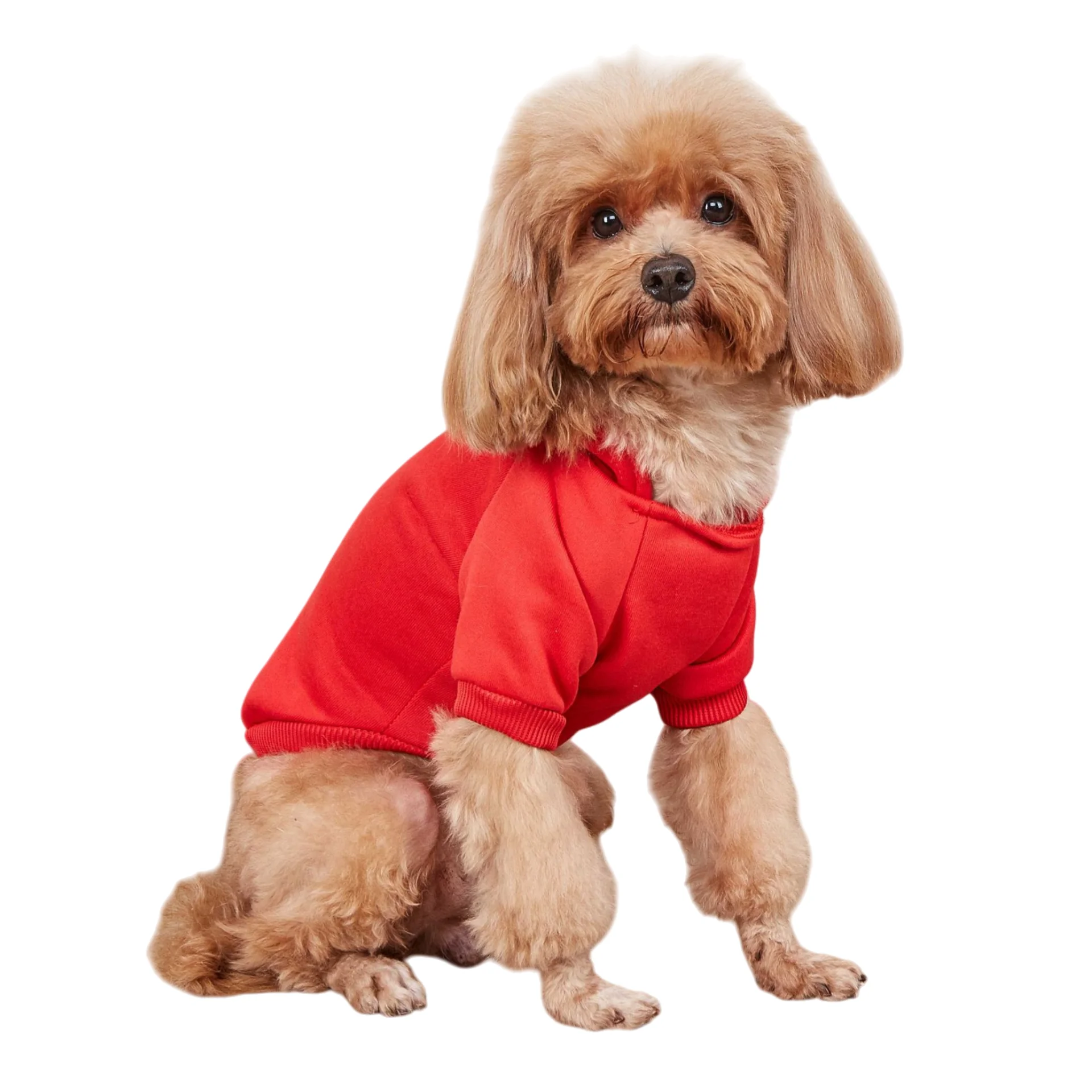 Winter Teddy Hundekleidung Sport Hoodies Sweatshirts Warmer Mantel Kleidung Herbst für kleine Hunde Katzen Kaninchen Haustiere Welpen Kapuzenpullover