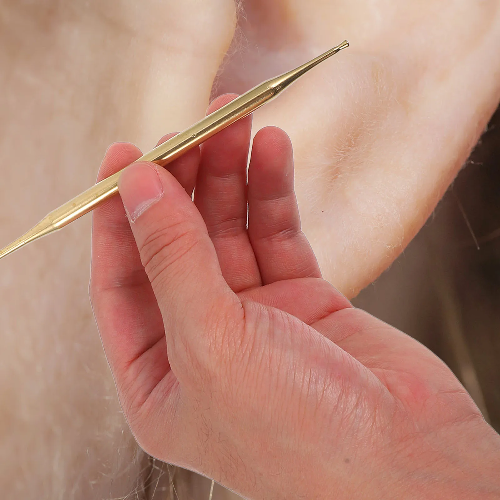 

Dual Head Copper Ear Acupressure Probe Pen Ear Massage Tool Portable Body Point Massage Pen Earwax Removal Tool