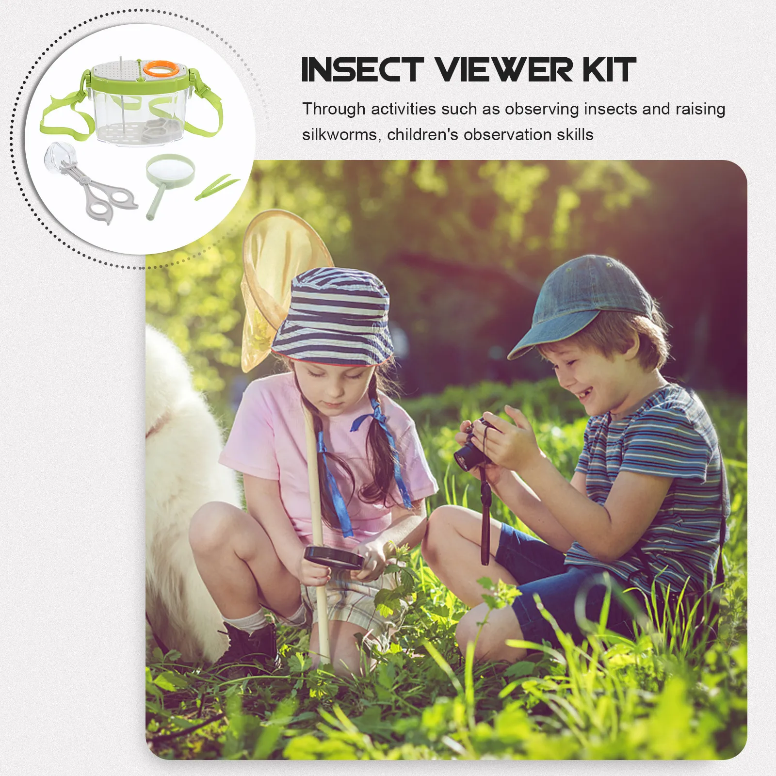 1 Set Insect Viewer…