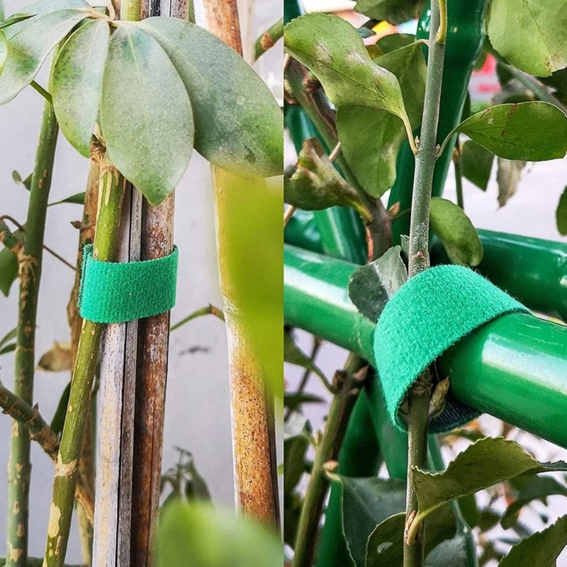 Plant Tape Plant Garden Ties Twist Ties for Plant Support Garden Plant Tape - Image 3