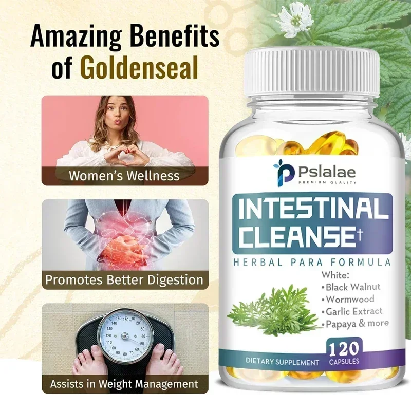 Protección Gut todo en uno, contiene Mugwort, Nogal Negro, sello dorado y clavo para promover la limpieza Intestinal y la digestión