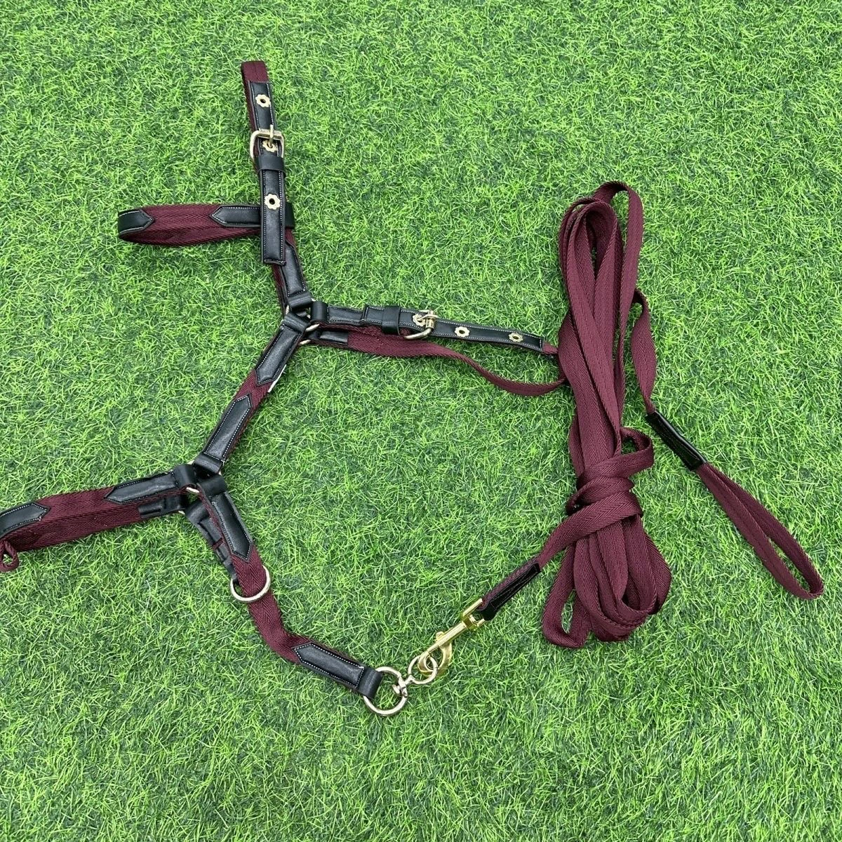 adjustable-head-harness-medium-to-large-size-training-equipment-set-suitable-for-medium-to-large-horses