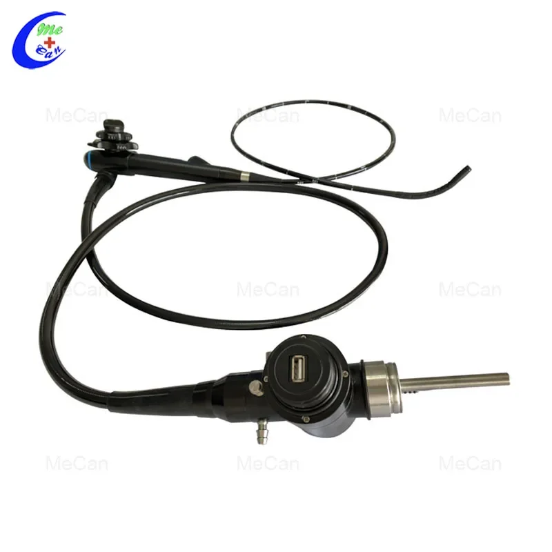 Veterinary endoscope portable USB video gastroscope and colonoscope