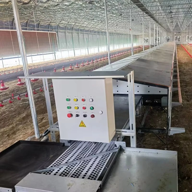Large Chicken Nesting Box Automatic Egg Layer Poultry Collector Machine Cage Equipment Hens Farm Roll Away Out