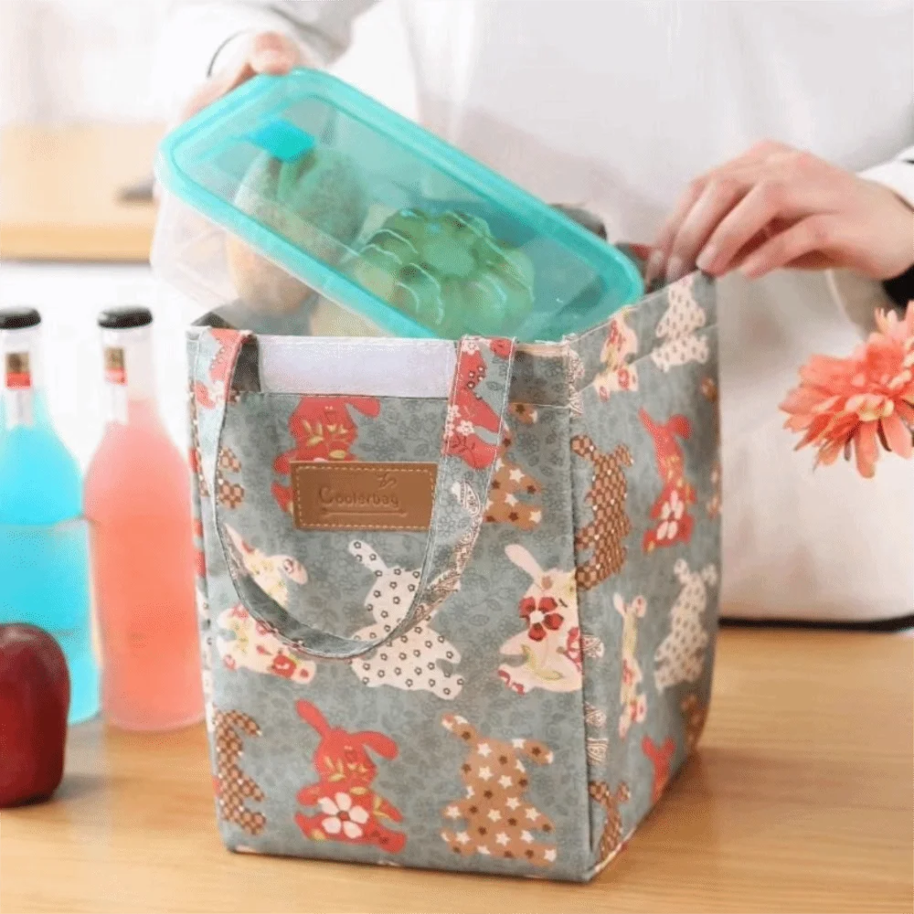 Bolsa de almacenamiento de alimentos, bolsa de almuerzo térmica aislada, forro de aluminio impreso, bolsa de Picnic, bolso impermeable de gran capacidad para estudiante