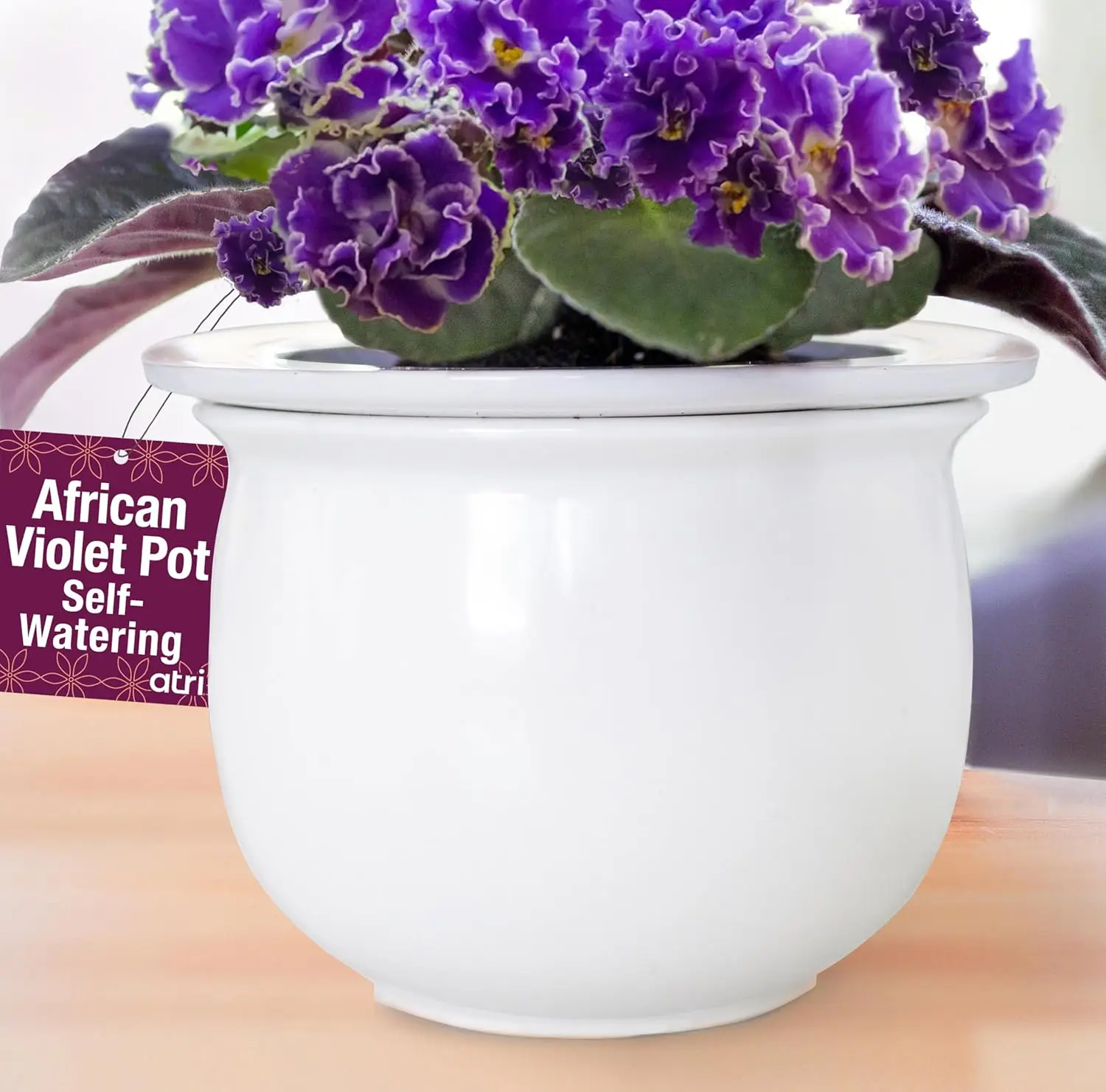 

African Violet Pots Self Watering – 6.5”W x 4.6”H Ceramic Self Watering Pots for Indoor Plants with Glazed White Outer Pot