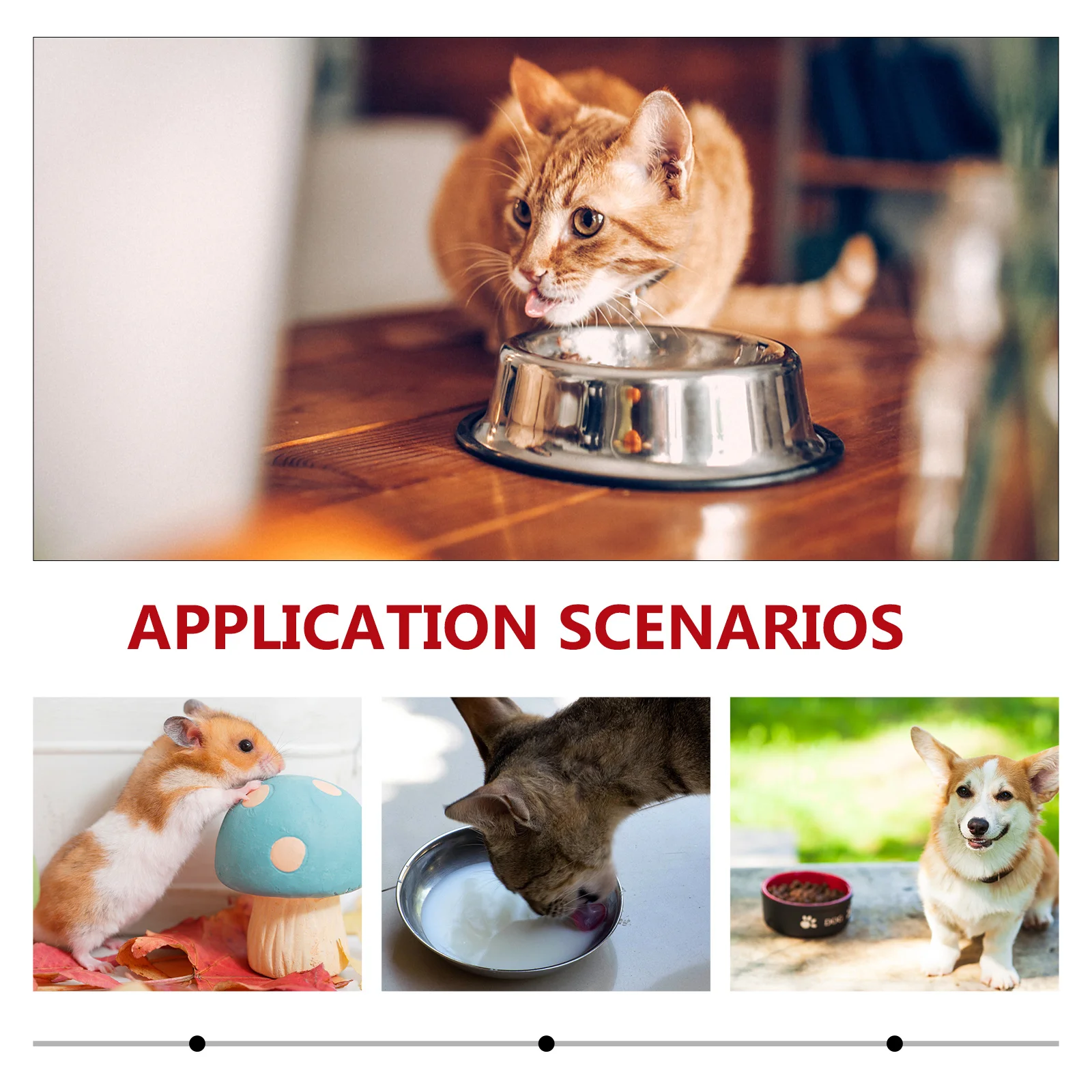 

1Pcs Pet Ceramic Feeding Bowl Small Animals Food Bowl Dual Compartment Hamsters Mice Birds Reptiles Food Feeder Pet Tableware