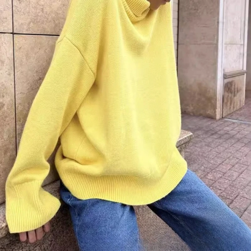 

Solid Color Turtle Neck Women's Autumn and Winter Loose Commuter Hooded Jacket
