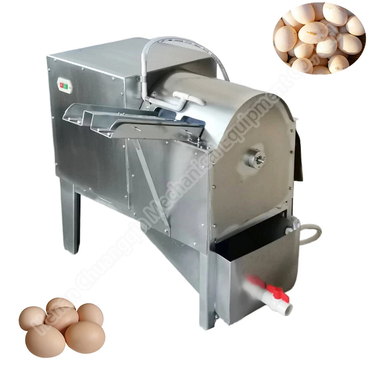 Small egg washer New Type Goose Duck Chicken Egg Washing Machine Egg Cleaner