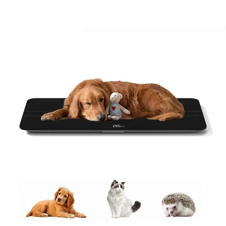 100kg Digital Postal Scale with 10g Precision Heavy Duty Shipping Scale Versatile Pet Weight Scale for Small Animals Post Office