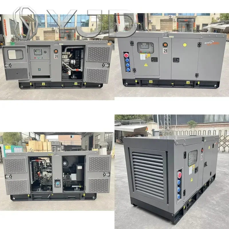 Citylion Super Silent Generator 20kW 25kW 20kVA 25kVA Portable ATS for Engine Auto Start Genset